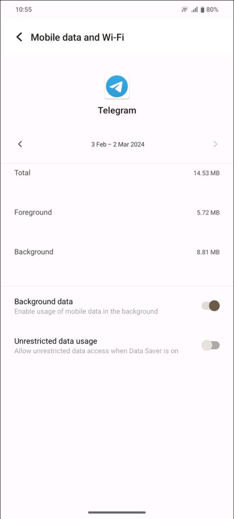 enable background data for Telegram