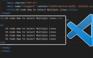 How to Select Multiple Lines in VS Code
