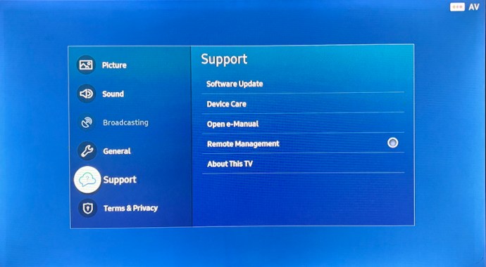 Support in Samsung TV Settings