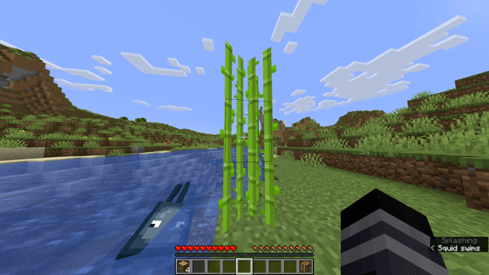 Collecting Sugar Cane in Minecraft