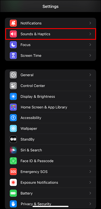 The Sounds & Haptics button in iPhone Settings.